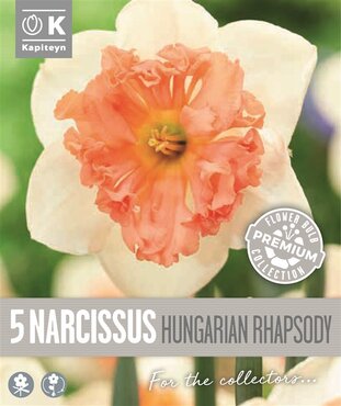 Narcissus Collar Hungarian Rhapsody