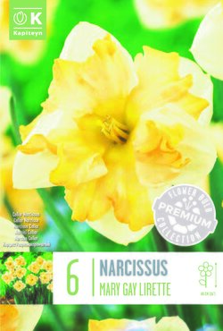 Narcissus Collar Mary Gay Lirette