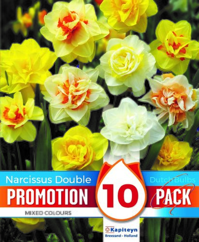 Narcissus Double Mix Promo Pack