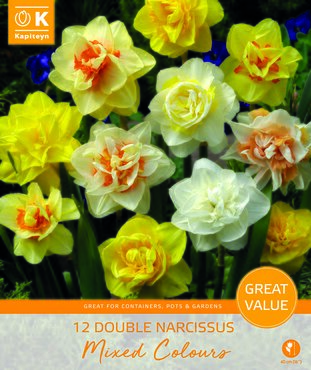 Narcissus Double Mix Promo Pack