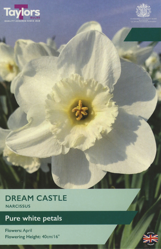 Narcissus Dream Castle