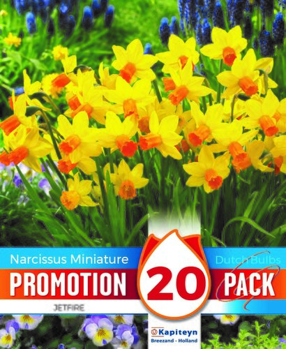 Narcissus Jetfire Promo Pack