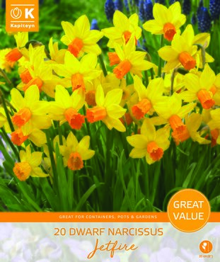 Narcissus Jetfire Promo Pack