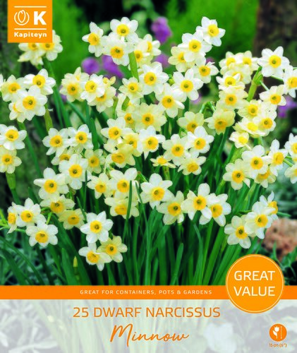 Narcissus Minnow Promo Pack