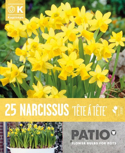 Tete A Tete Patio Pack