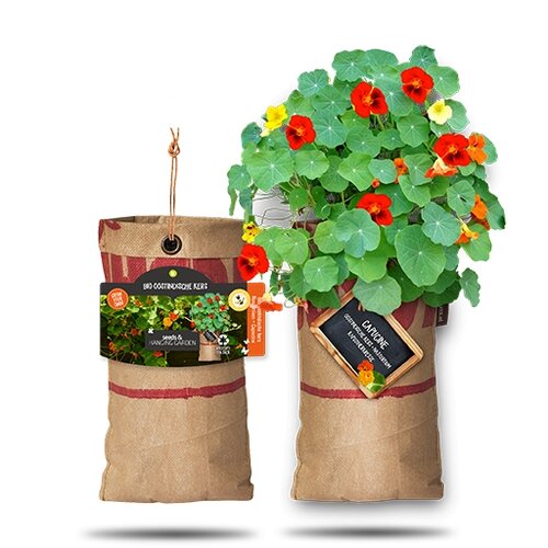 Hanging Garden - Organic Tropaeoleum (Nasturtium) Seed Planter