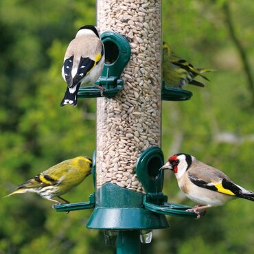 National Trust 4 Port Metal Seed Feeder - image 2