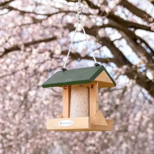 National Trust Alpine Suet Cake Tube Feeder - image 3