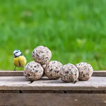 NT Kids Fat Balls 6 Pack - image 4