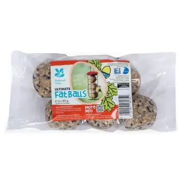 NT Kids Fat Balls 6 Pack - image 2