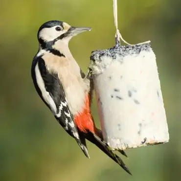 National Trust Seed Peanut Cake 1L - image 3