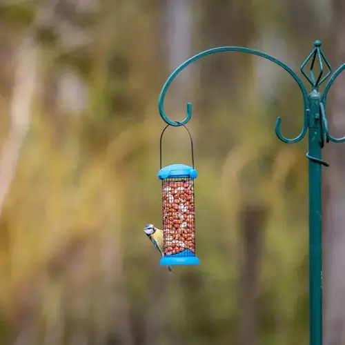 National Trust Woodpeckers & Tits Peanut Tub - image 3