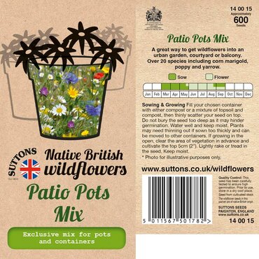 Native British Wildflowers Patio Pots Mix Seeds - image 2