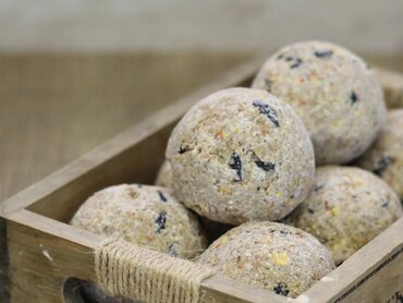 Natural Balance Wildbird Energy Balls 50 - image 2
