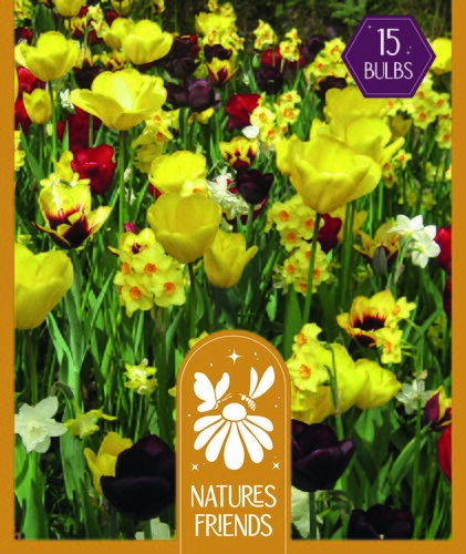 Nature's Friends Yellow & Maroon Shades