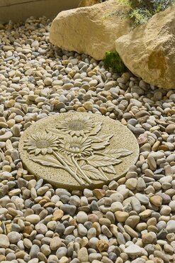 Nature Stepping Stone - image 2