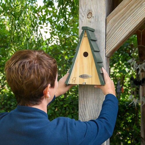 Nest Box Aspen Larch National Trust - image 2