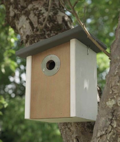 Nest Box Elegance - image 2