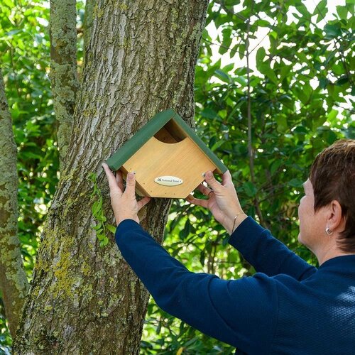Nest Box Robin/Wren National Trust - image 1