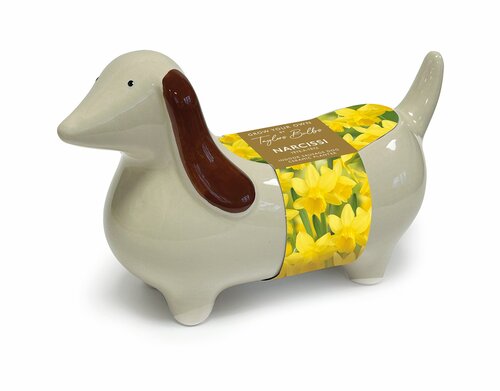 Novelty Sausage Dog Planter