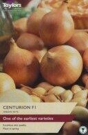 Onion Centurion F1