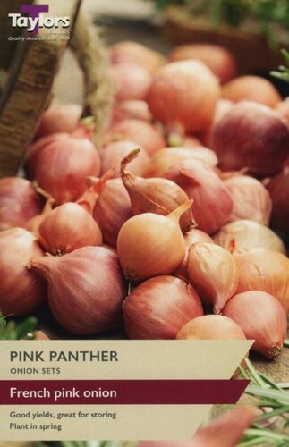 Onion Pink Panther