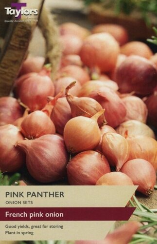 Onion Pink Panther