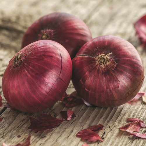 Onion Red Baron 6 Pack