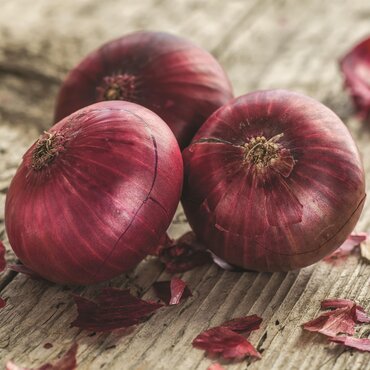 Onion Red Baron 6 Pack