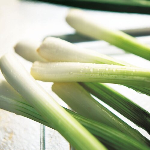 Salad Onion Seeds (White Lisbon - Winter Hardy) - image 3