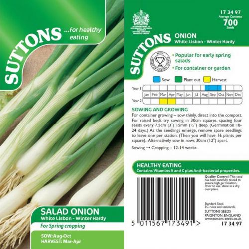 Salad Onion Seeds (White Lisbon - Winter Hardy) - image 4