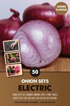 Onion Set Electric