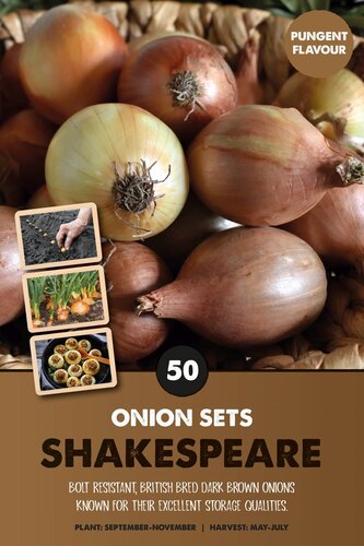 Onion Set Shakespeare