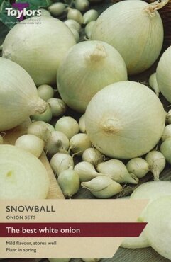 Onion Snowball
