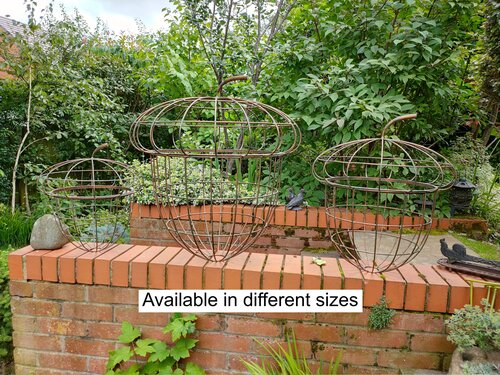 Orchard Acorn - M 40x44cm - image 2