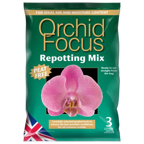 orchid focus repotting compost