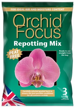 orchid focus repotting compost