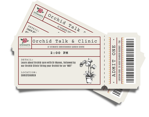 Orchid Talk & Care Clinic