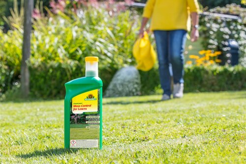 Organic Lawn Moss Control Concentrate 1L - image 2