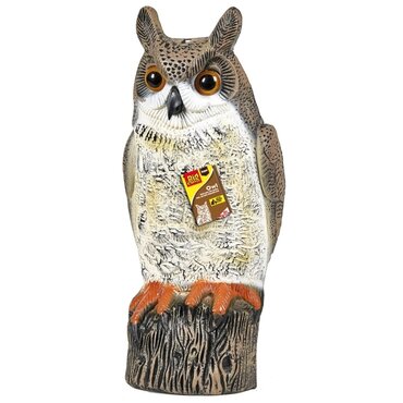 Owl - image 1