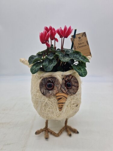 Owl Planter - image 1