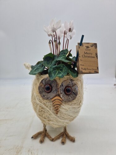 Owl Planter - image 2