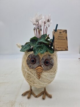 Owl Planter - image 2