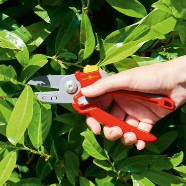 P-Anvil Secateurs RS2500 - image 2