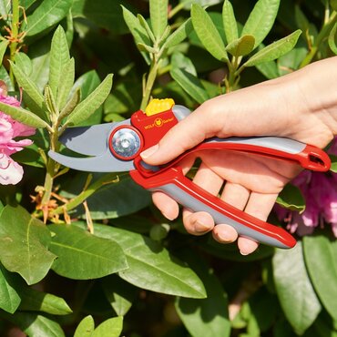 P-Bypass Secateurs 73AFA004650 - image 2