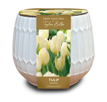 Part Glazed Ceramic Tulip Planter