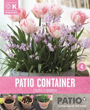 Patio Container Pack Tulip & Chinonodoxa