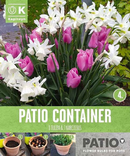 Patio Container Pack Tulip Pink & Narcissus White