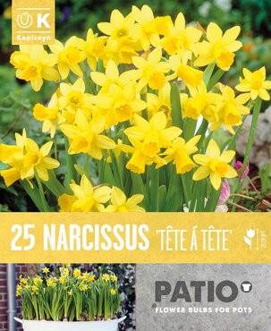 Patio Pack Tete A Tete