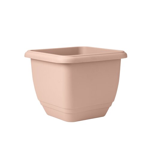 Patio Planter Misty Rose 30cm